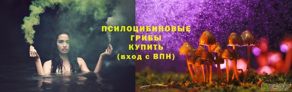 крисы Абаза