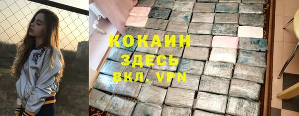 крисы Абаза
