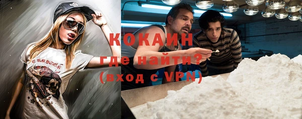 крисы Абаза