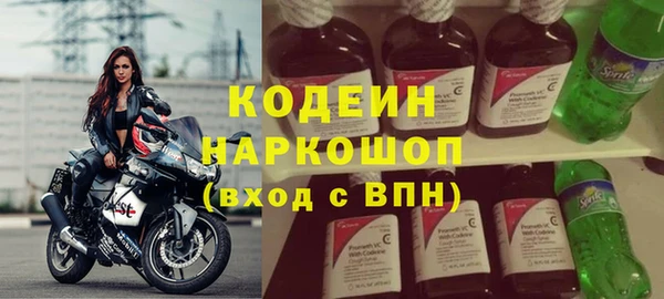 крисы Абаза